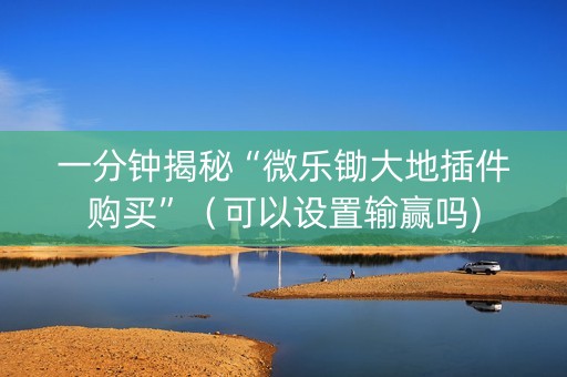 一分钟揭秘“微乐锄大地插件购买”（可以设置输赢吗)