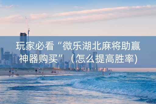 玩家必看“微乐湖北麻将助赢神器购买”（怎么提高胜率)