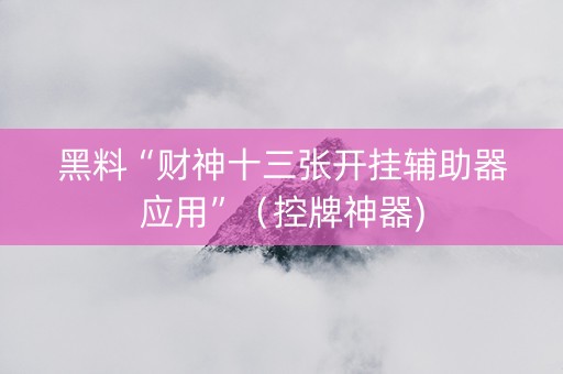 黑料“财神十三张开挂辅助器应用”（控牌神器)