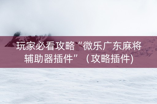 玩家必看攻略“微乐广东麻将辅助器插件”（攻略插件)