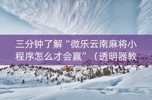 三分钟了解“微乐云南麻将小程序怎么才会赢”（透明器教程)