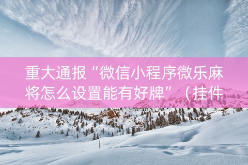 重大通报“微信小程序微乐麻将怎么设置能有好牌”（挂件神器)