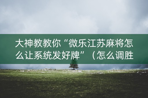 大神教教你“微乐江苏麻将怎么让系统发好牌”（怎么调胜率)