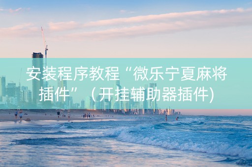 安装程序教程“微乐宁夏麻将插件”（开挂辅助器插件)