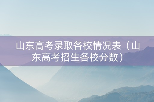 山东高考录取各校情况表（山东高考招生各校分数）