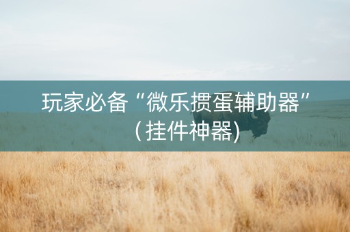 玩家必备“微乐掼蛋辅助器”（挂件神器)