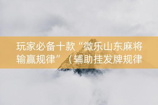 玩家必备十款“微乐山东麻将输赢规律”（辅助挂发牌规律)