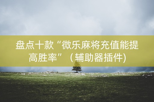 盘点十款“微乐麻将充值能提高胜率”（辅助器插件)