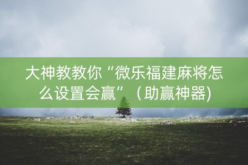 大神教教你“微乐福建麻将怎么设置会赢”（助赢神器)