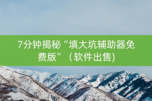 7分钟揭秘“填大坑辅助器免费版”（软件出售)