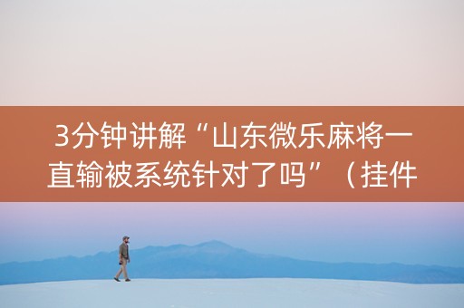 3分钟讲解“山东微乐麻将一直输被系统针对了吗”（挂件神器)
