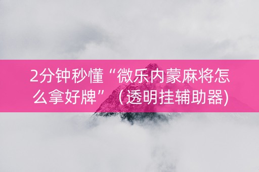 2分钟秒懂“微乐内蒙麻将怎么拿好牌”（透明挂辅助器)
