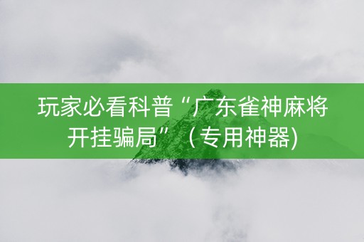 玩家必看科普“广东雀神麻将开挂骗局”（专用神器)
