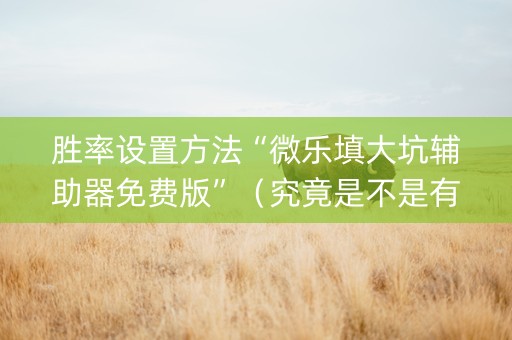 胜率设置方法“微乐填大坑辅助器免费版”（究竟是不是有挂)