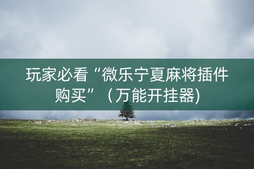 玩家必看“微乐宁夏麻将插件购买”（万能开挂器)