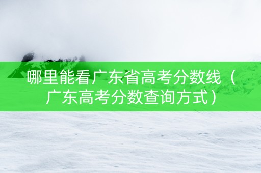 哪里能看广东省高考分数线（广东高考分数查询方式）