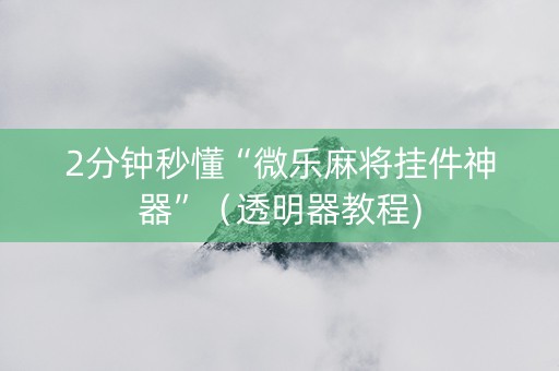 2分钟秒懂“微乐麻将挂件神器”（透明器教程)