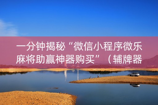 一分钟揭秘“微信小程序微乐麻将助赢神器购买”（辅牌器插件购买)