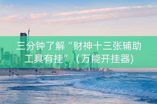 三分钟了解“财神十三张辅助工具有挂”（万能开挂器)