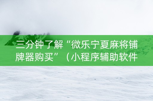 三分钟了解“微乐宁夏麻将铺牌器购买”（小程序辅助软件)