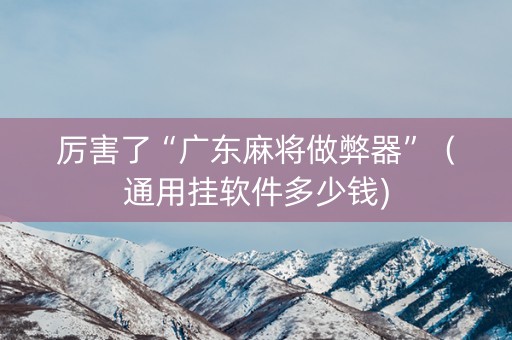 厉害了“广东麻将做弊器”（通用挂软件多少钱)