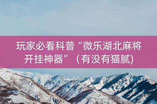 玩家必看科普“微乐湖北麻将开挂神器”（有没有猫腻)