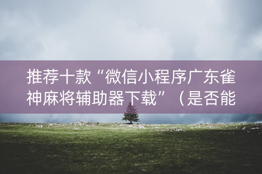 推荐十款“微信小程序广东雀神麻将辅助器下载”（是否能开挂)