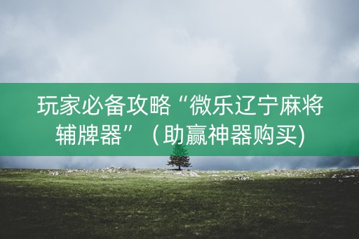 玩家必备攻略“微乐辽宁麻将辅牌器”（助赢神器购买)