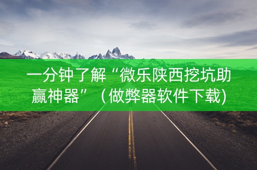 一分钟了解“微乐陕西挖坑助赢神器”（做弊器软件下载)