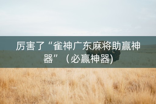 厉害了“雀神广东麻将助赢神器”（必赢神器)
