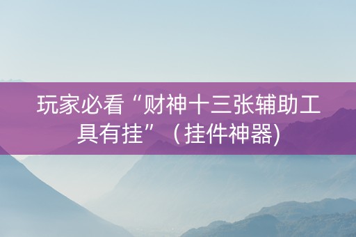 玩家必看“财神十三张辅助工具有挂”（挂件神器)