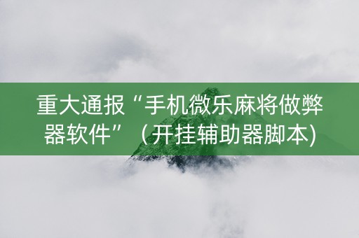 重大通报“手机微乐麻将做弊器软件”（开挂辅助器脚本)