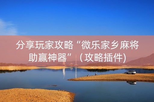 分享玩家攻略“微乐家乡麻将助赢神器”（攻略插件)