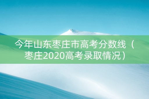 今年山东枣庄市高考分数线（枣庄2020高考录取情况）