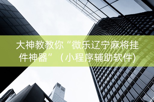 大神教教你“微乐辽宁麻将挂件神器”（小程序辅助软件)