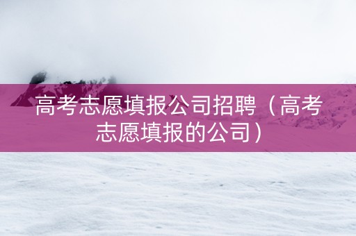 高考志愿填报公司招聘（高考志愿填报的公司）