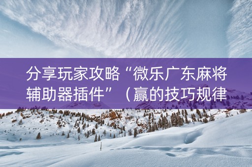 分享玩家攻略“微乐广东麻将辅助器插件”（赢的技巧规律)