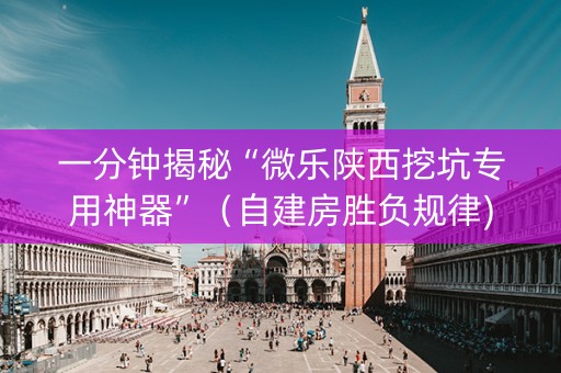 一分钟揭秘“微乐陕西挖坑专用神器”（自建房胜负规律)