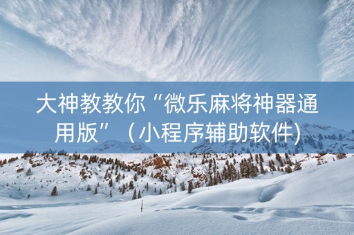 大神教教你“微乐麻将神器通用版”（小程序辅助软件)