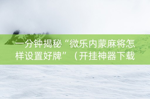 一分钟揭秘“微乐内蒙麻将怎样设置好牌”（开挂神器下载)
