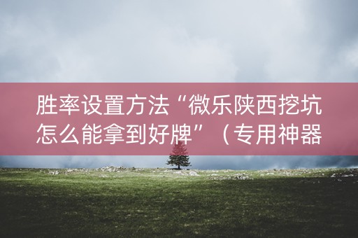 胜率设置方法“微乐陕西挖坑怎么能拿到好牌”（专用神器)