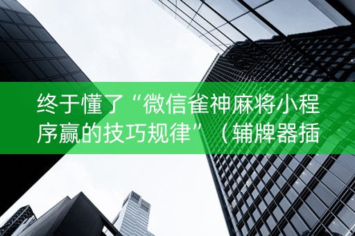 终于懂了“微信雀神麻将小程序赢的技巧规律”（辅牌器插件购买)