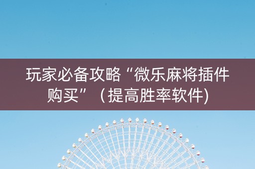 玩家必备攻略“微乐麻将插件购买”（提高胜率软件)