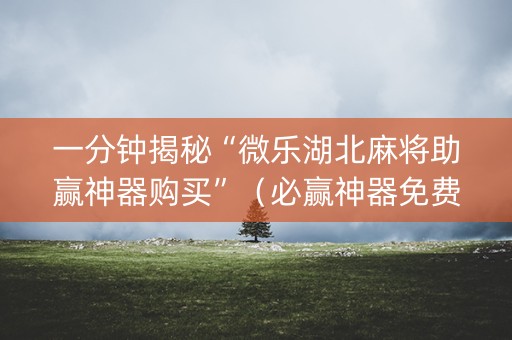 一分钟揭秘“微乐湖北麻将助赢神器购买”（必赢神器免费安装)