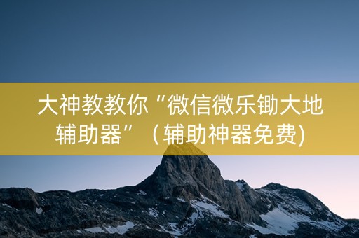 大神教教你“微信微乐锄大地辅助器”（辅助神器免费)