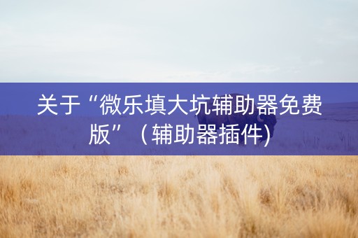 关于“微乐填大坑辅助器免费版”（辅助器插件)