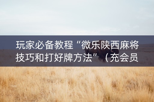 玩家必备教程“微乐陕西麻将技巧和打好牌方法”（充会员胜率高)