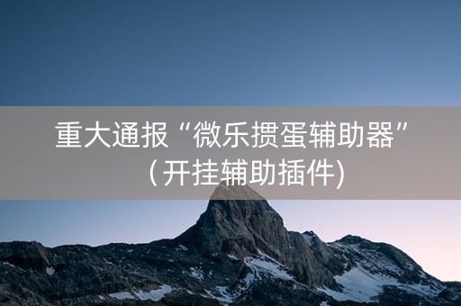 重大通报“微乐掼蛋辅助器”（开挂辅助插件)