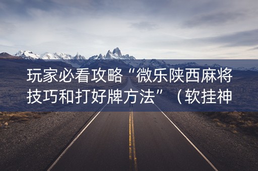 玩家必看攻略“微乐陕西麻将技巧和打好牌方法”（软挂神器)