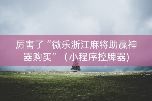 厉害了“微乐浙江麻将助赢神器购买”（小程序控牌器)